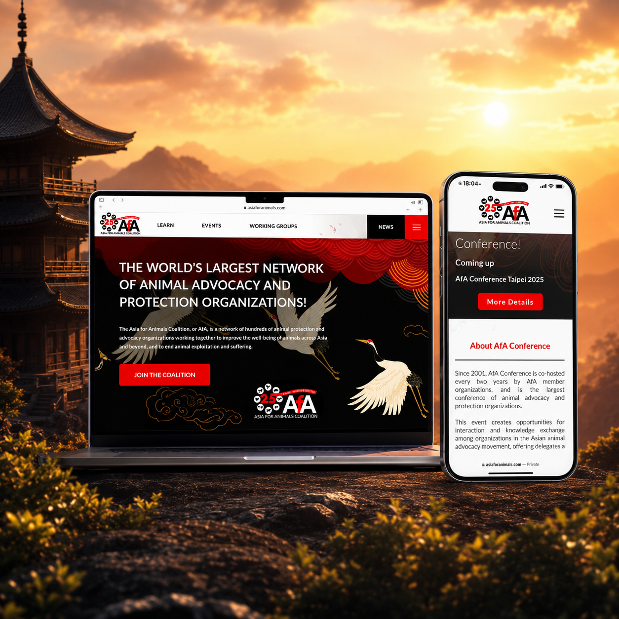 Asia for Animals website shown on laptop and mobile against a warm Asian landscape.