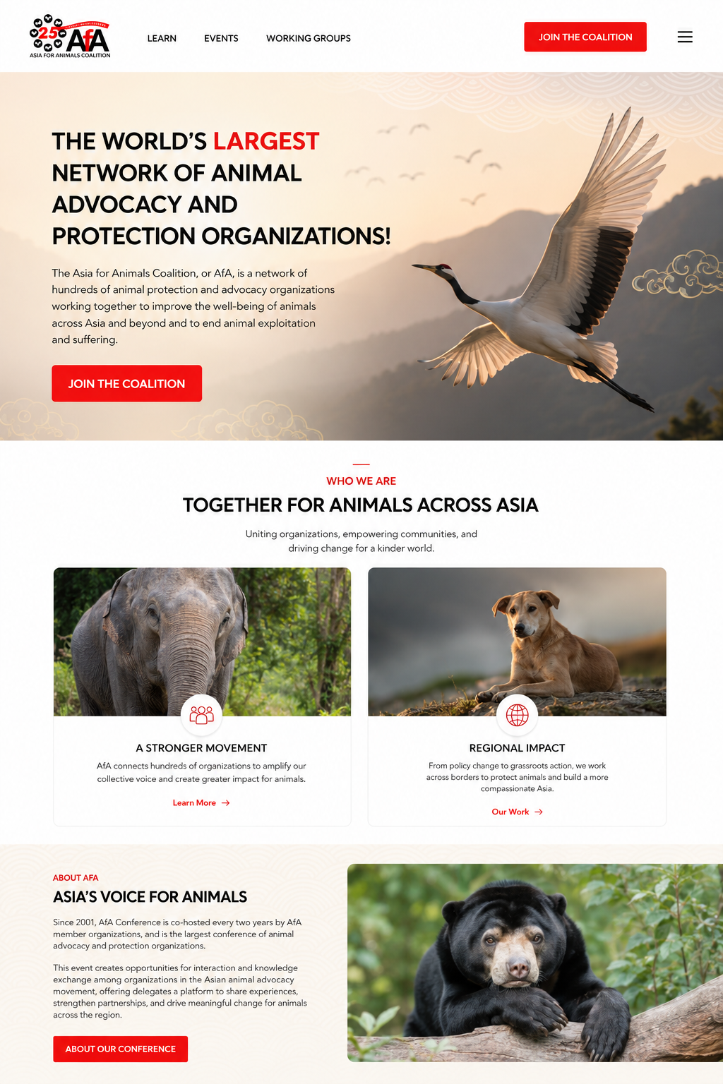 Asia for Animals homepage design with crane hero image and advocacy content.
